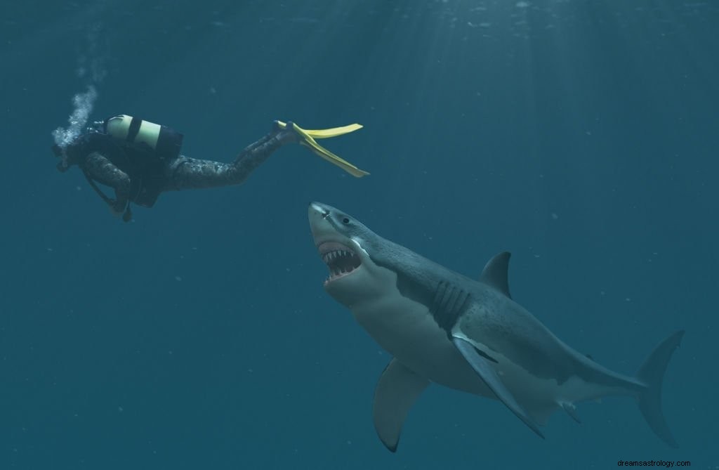 Tubarão – significado e simbolismo dos sonhos