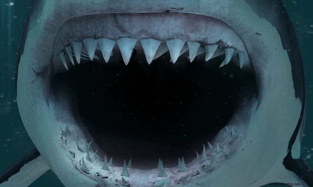 サメ – 夢の意味と象徴