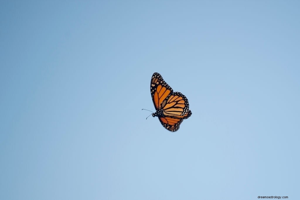 Motýl – význam snu a symbolika