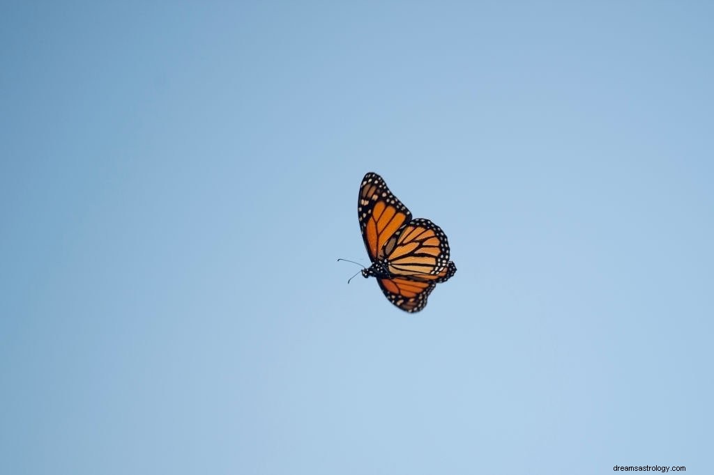 Borboleta – Significado e simbolismo dos sonhos