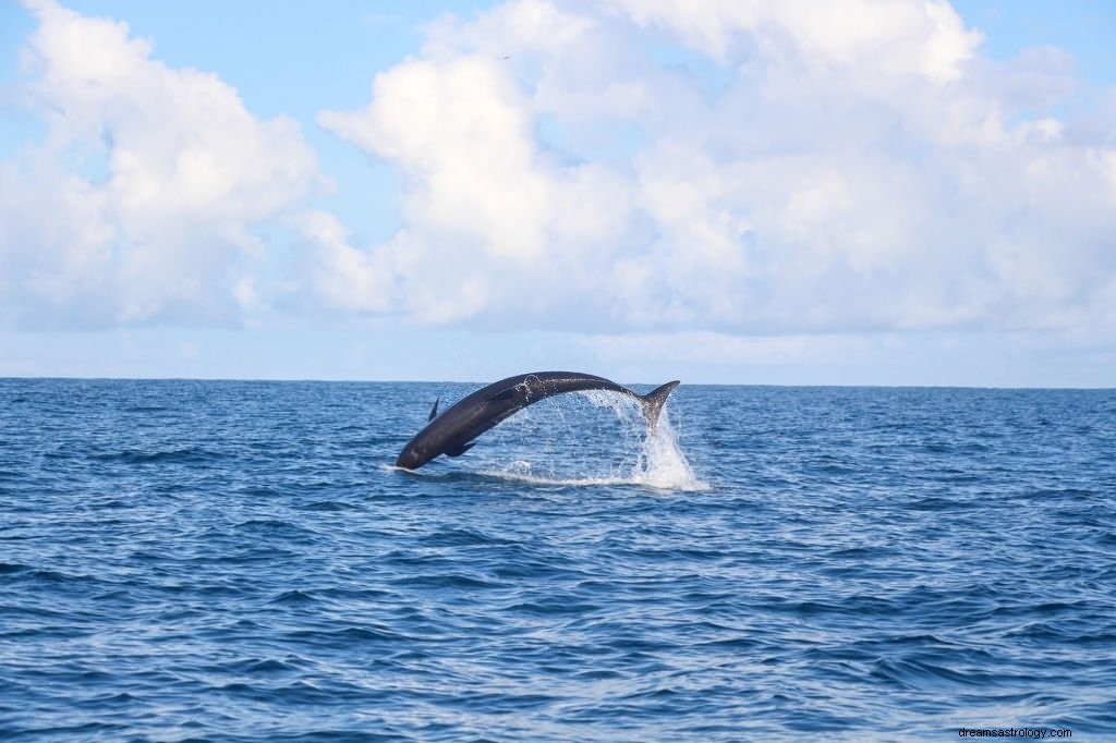 Ballena – Significado y simbolismo de los sueños