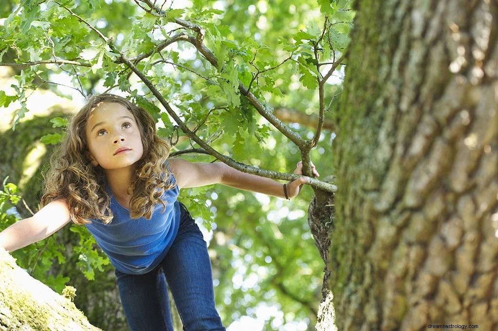 Baum – Bedeutung und Symbolik von Träumen