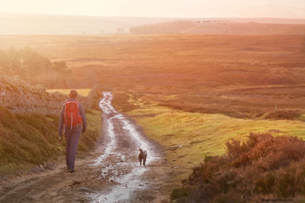 Onverharde weg – Betekenis en symboliek van dromen