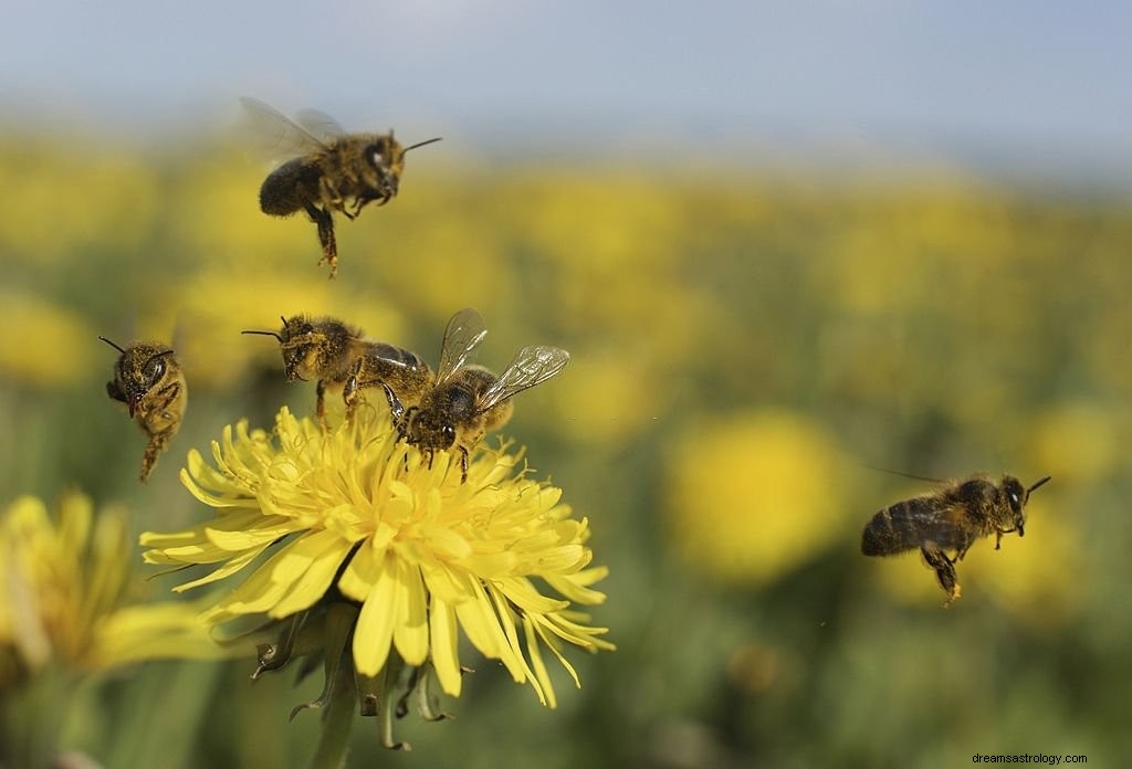 Abeja – Significado y simbolismo de los sueños