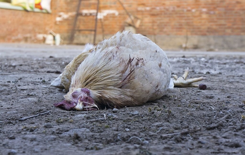 Huhn – Bedeutung und Symbolik von Träumen