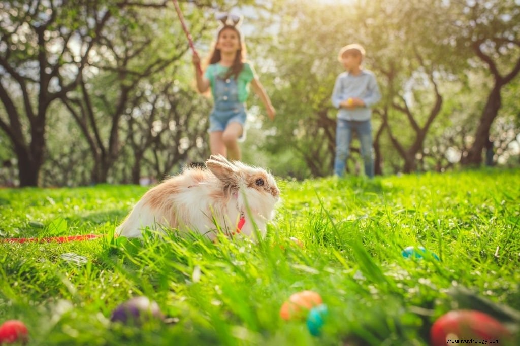 Kaninchen – Bedeutung und Symbolik von Träumen
