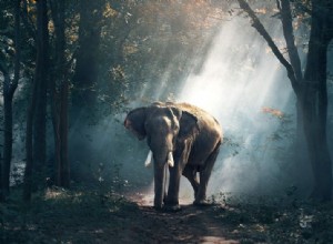 Elefante – Significado y simbolismo de los sueños