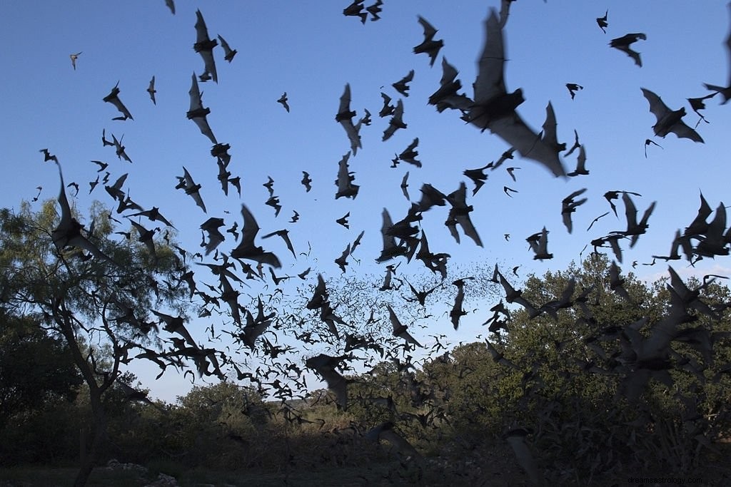 Fledermaus – Bedeutung und Symbolik von Träumen