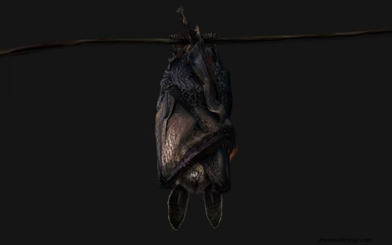 Murciélago – Significado y simbolismo de los sueños