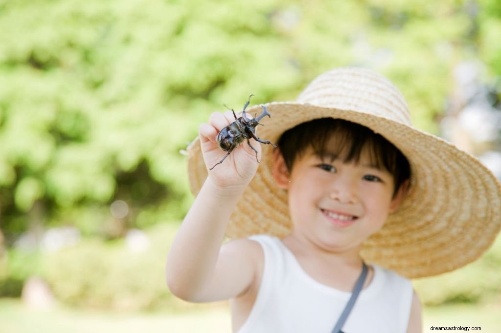 Beetle – Drømmebetydning og symbolik