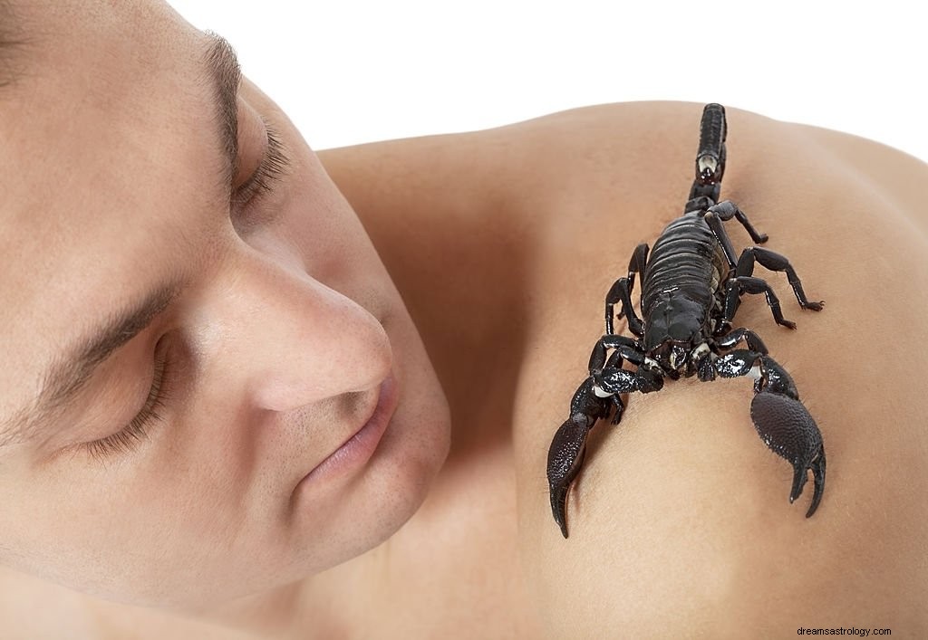 Černý škorpión – význam snu a symbolika