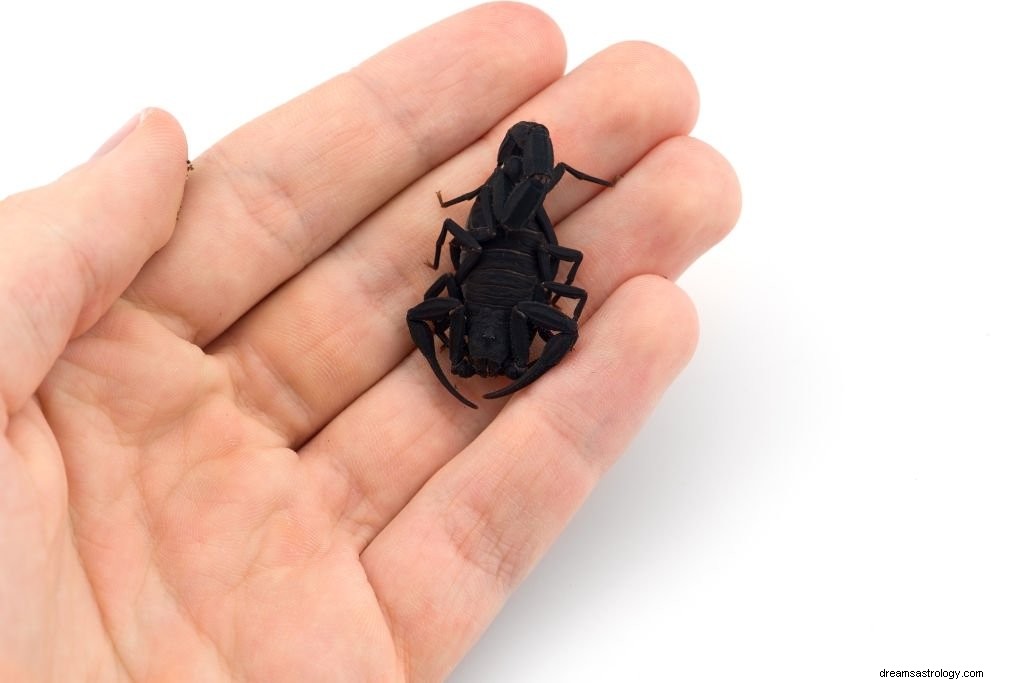 Black Scorpion – Droombetekenis en symboliek