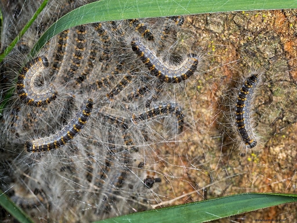 Larva – Arti Mimpi dan Simbolisme