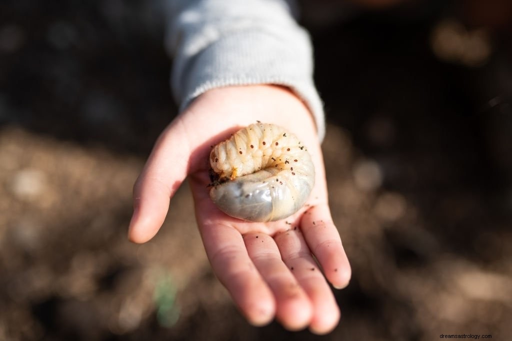 Larven – Betekenis en symboliek van dromen