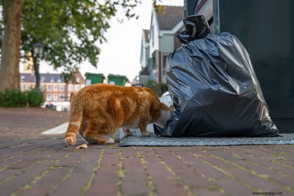 Vuilnis – Droombetekenis en symboliek