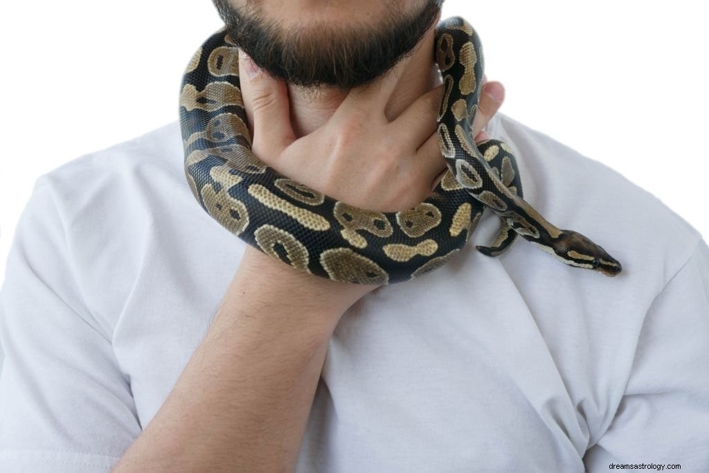 Zwinięty wąż – znaczenie i symbolika snu