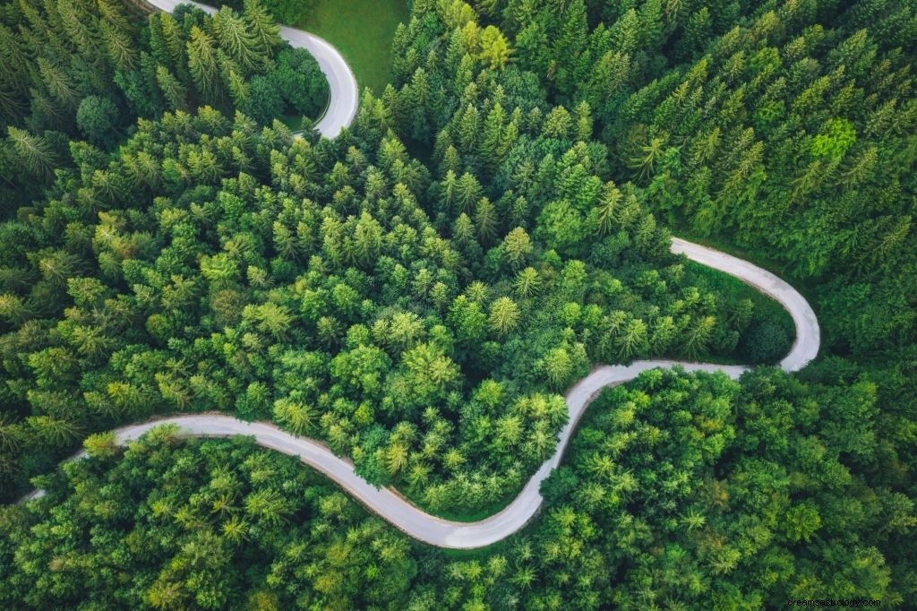 道路 – 夢の意味と象徴