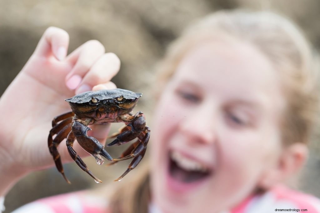 Krab – znaczenie i symbolika snu