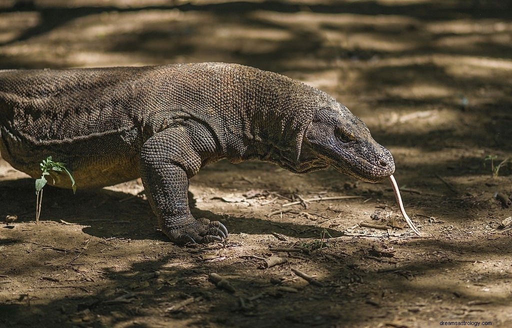 Lagarto – Significado e simbolismo dos sonhos