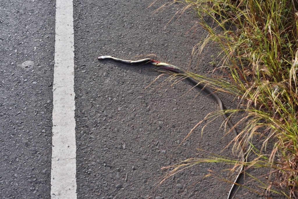 Serpiente muerta – Significado y simbolismo de los sueños