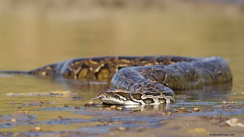 Wielki wąż – znaczenie i symbolika snu