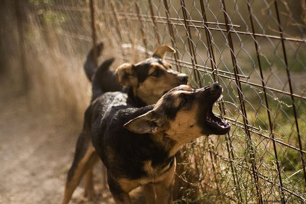 Anjing Liar – Arti Mimpi dan Simbolisme