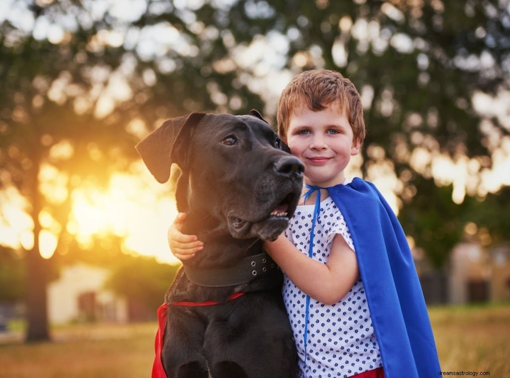 Wilder Hund – Bedeutung und Symbolik von Träumen