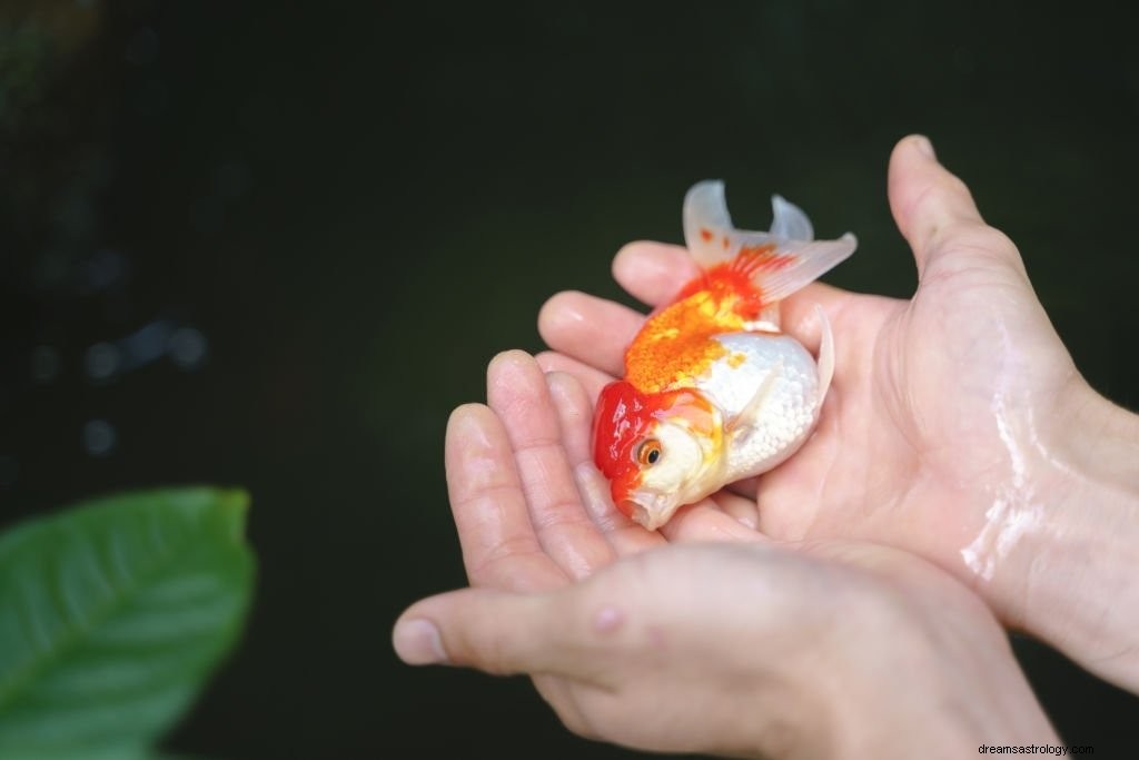 Velká ryba – význam snu a symbolika