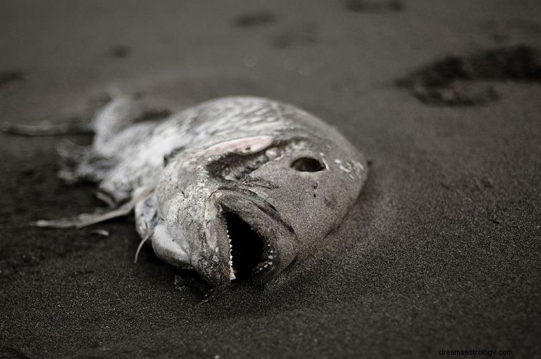 Döda fiskar – drömmening och symbolik