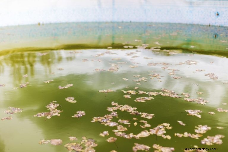 Schmutziges Wasser – Bedeutung und Symbolik von Träumen