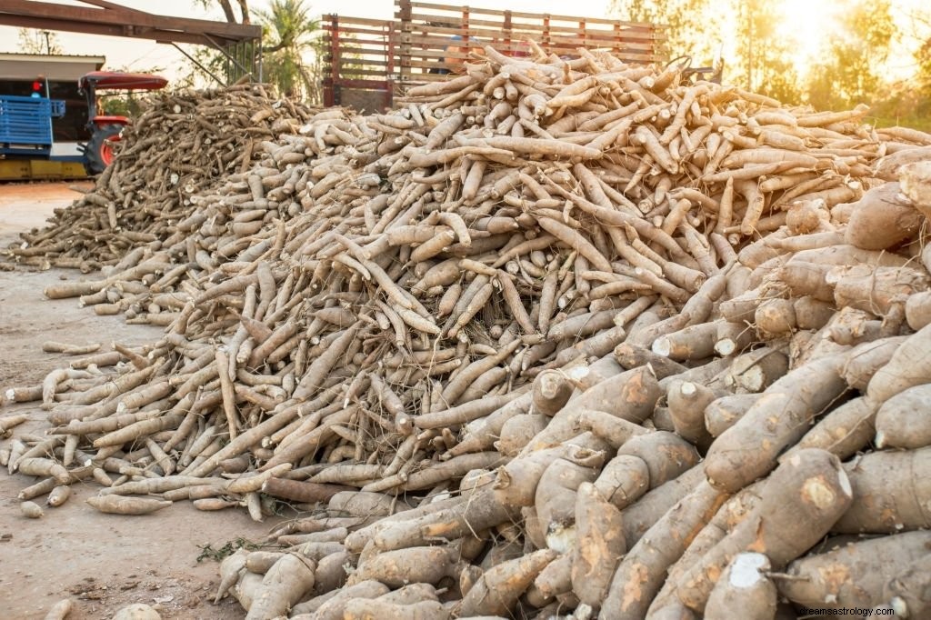Cassava – drømmebetydning og symbolikk