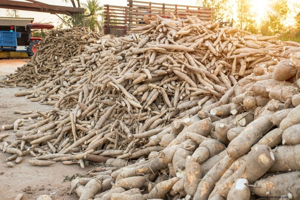 Manioc – Signification et symbolisme des rêves