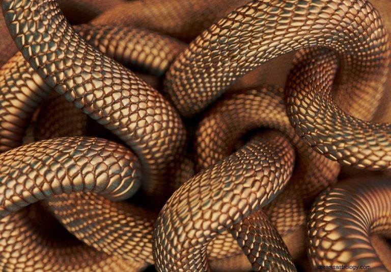 Molti serpenti:significato e simbolismo del sogno