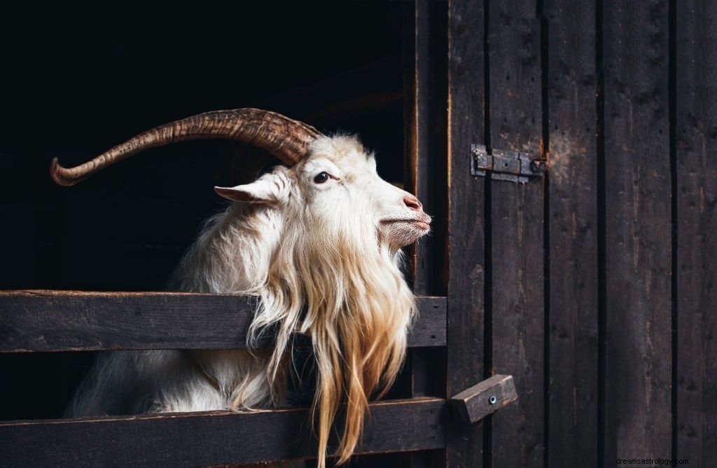 Chèvre – Signification et symbolisme des rêves
