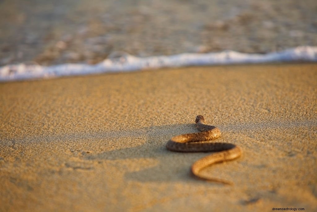 Hnědý had – význam snu a symbolika