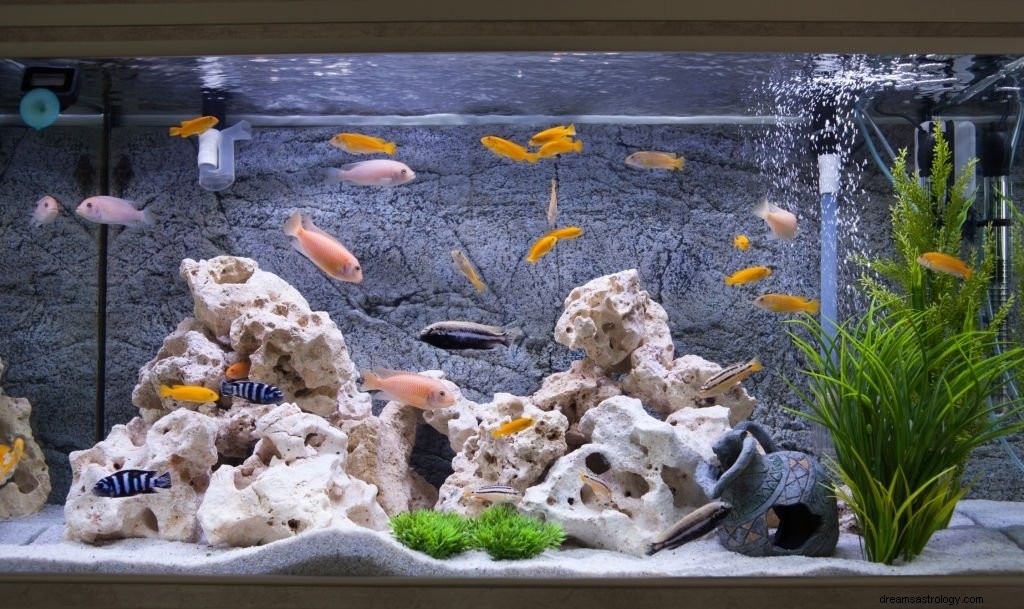 Aquarium – Droombetekenis en symboliek