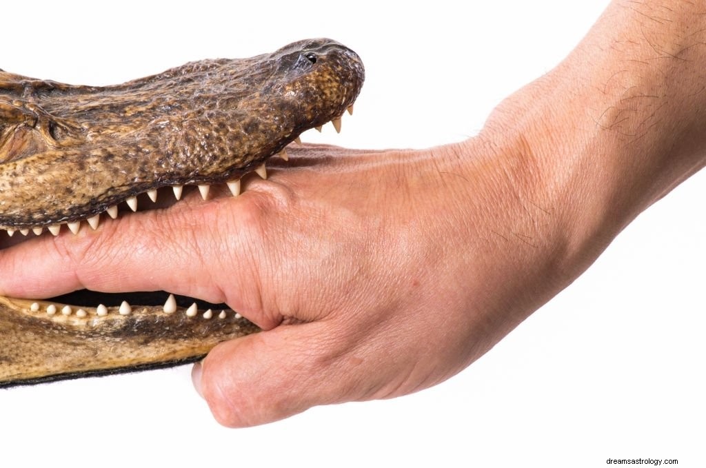 Krokodyl – znaczenie i symbolika snu