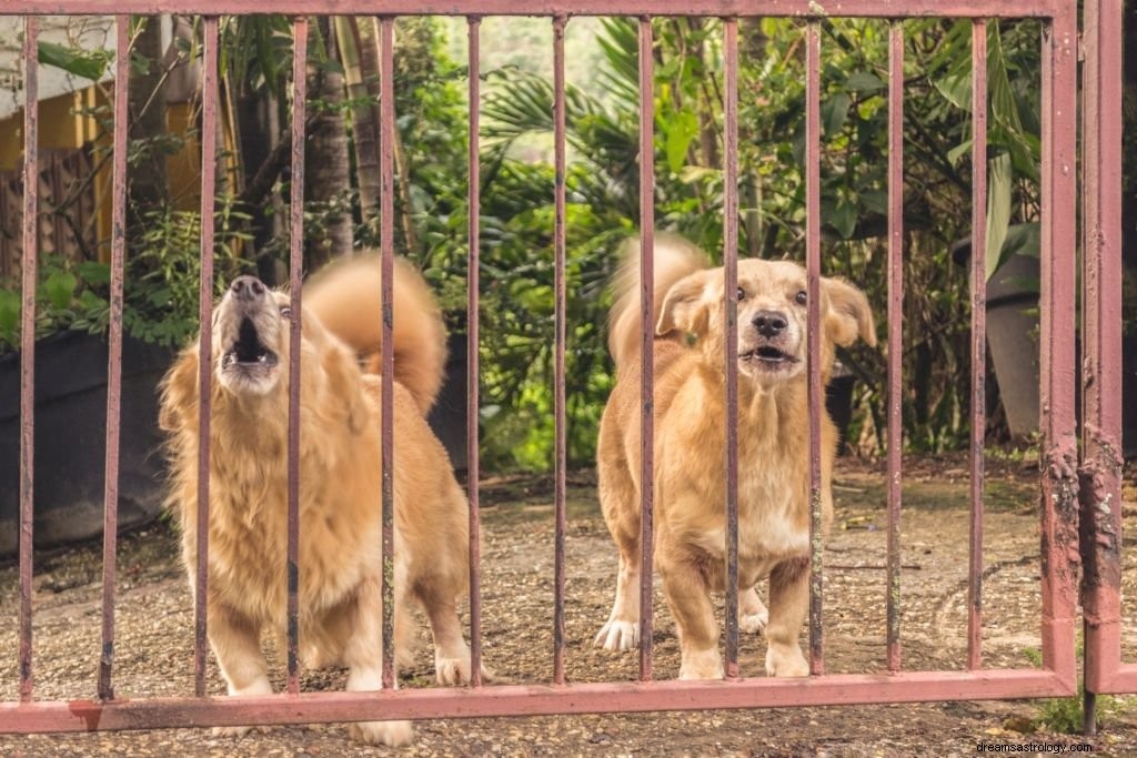 犬の吠え – 夢の意味と象徴