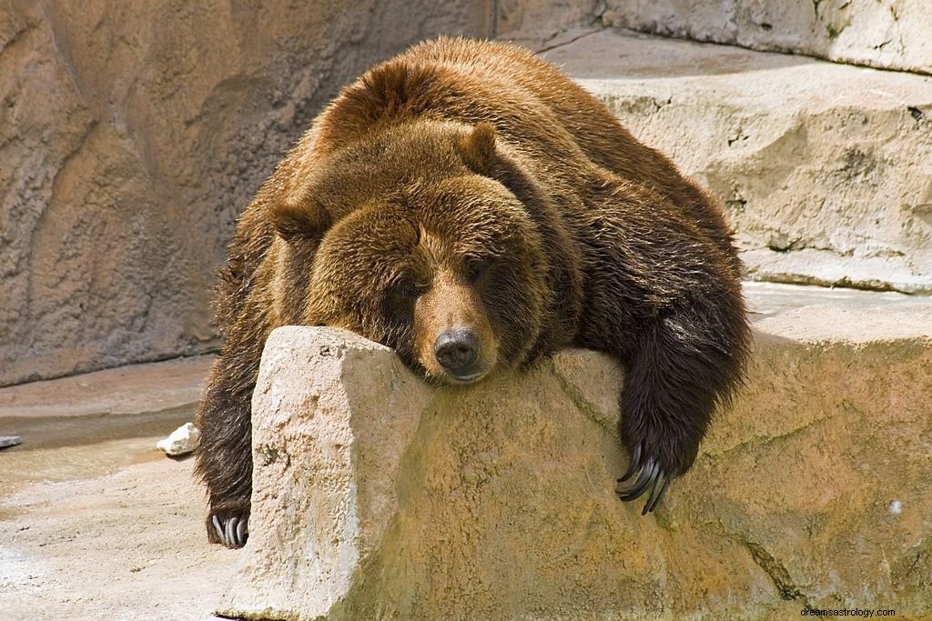 Niedźwiedź – znaczenie i symbolika snu
