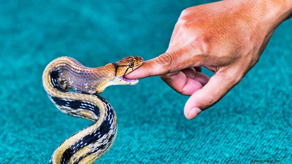 Stinging Snake – Όνειρο νόημα και συμβολισμός