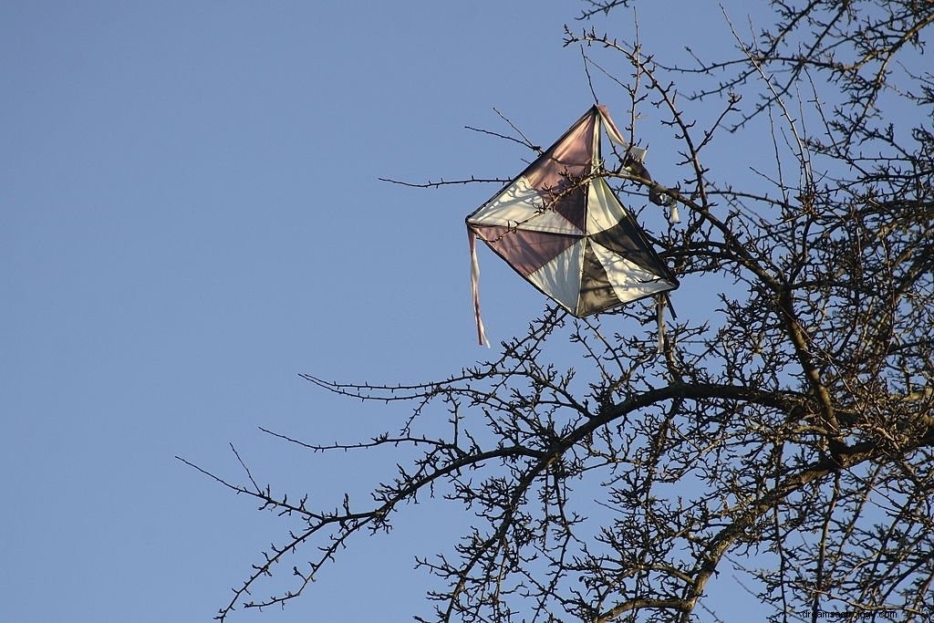 Green – drømmebetydning og symbolik