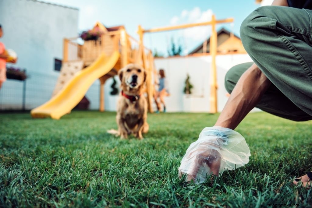 Heces de perro:significado y simbolismo de los sueños