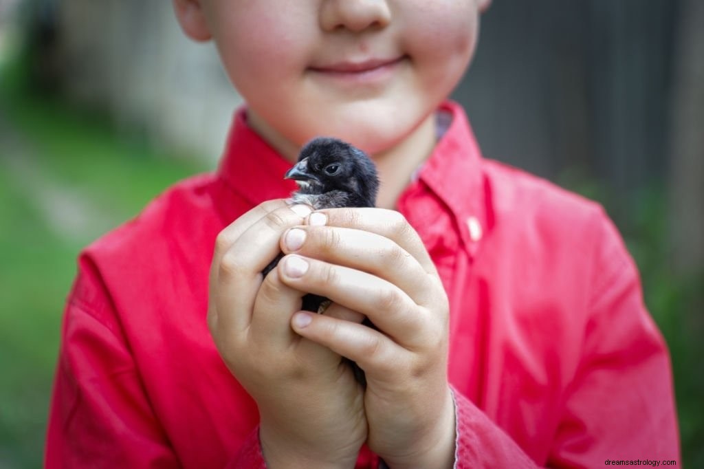 Schwarzer Vogel – Bedeutung und Symbolik von Träumen