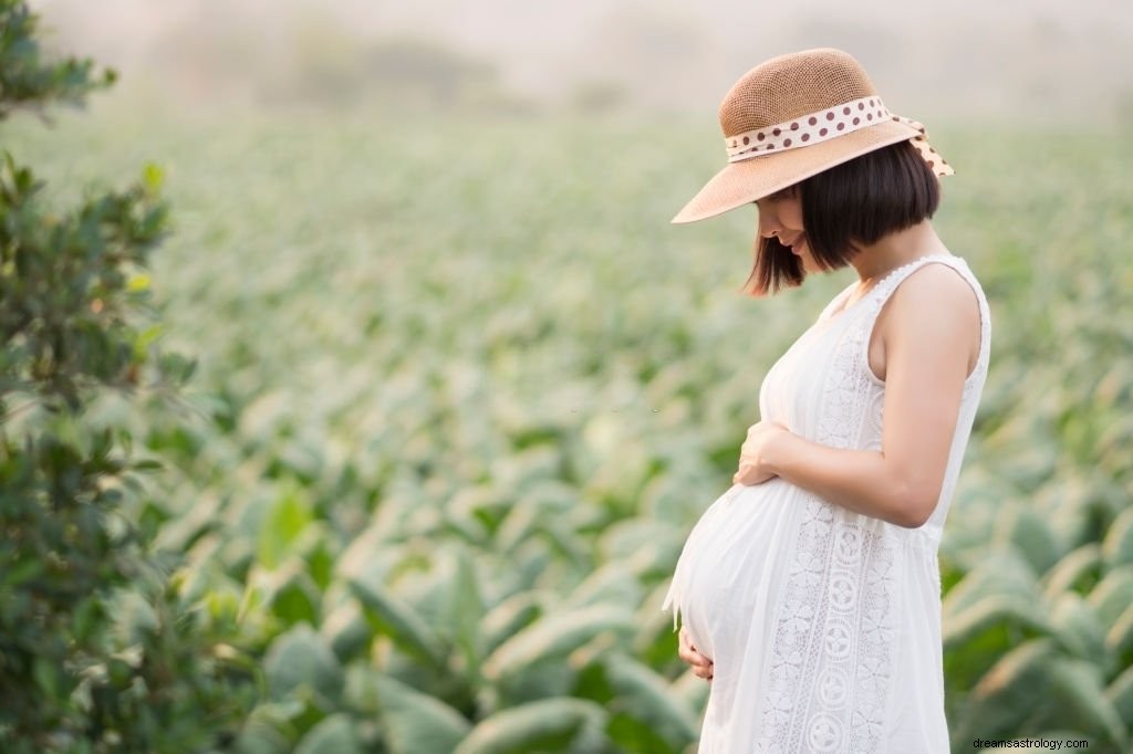 Gravid mage – drömmening och symbolik