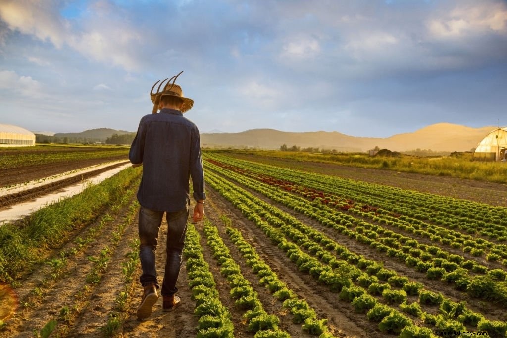 Pertanian – Arti Mimpi dan Simbolisme