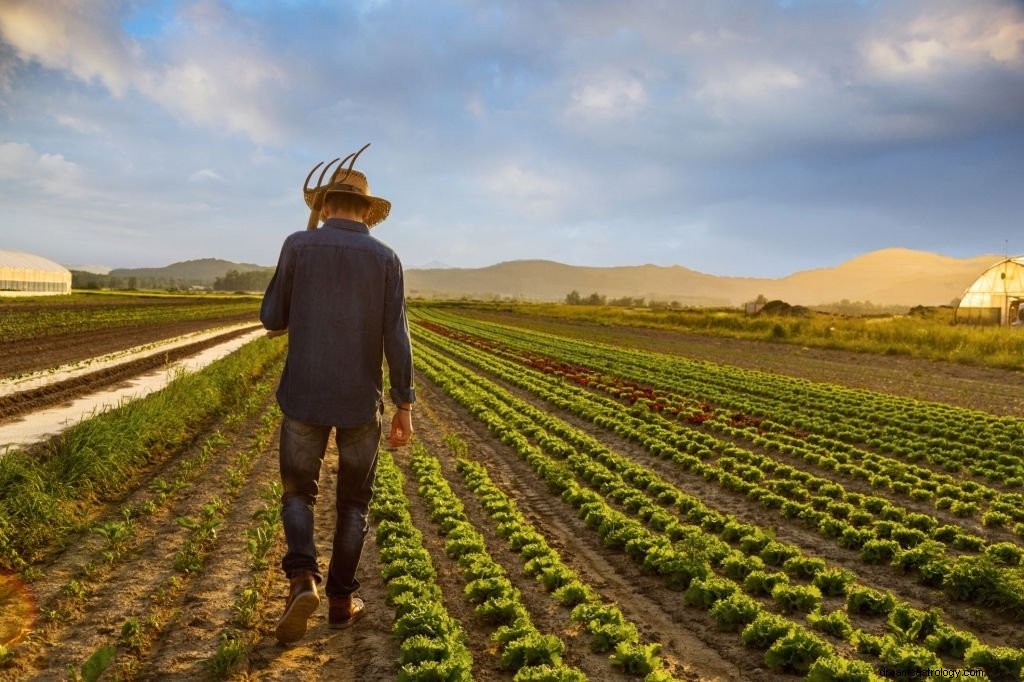 Ferme – Signification et symbolisme des rêves