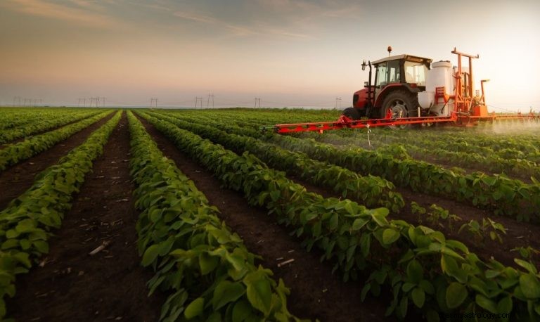 Boerderij – Betekenis en symboliek van dromen