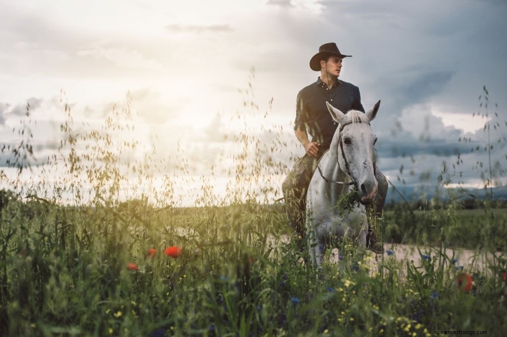 Caballo Blanco – Significado y simbolismo de los sueños