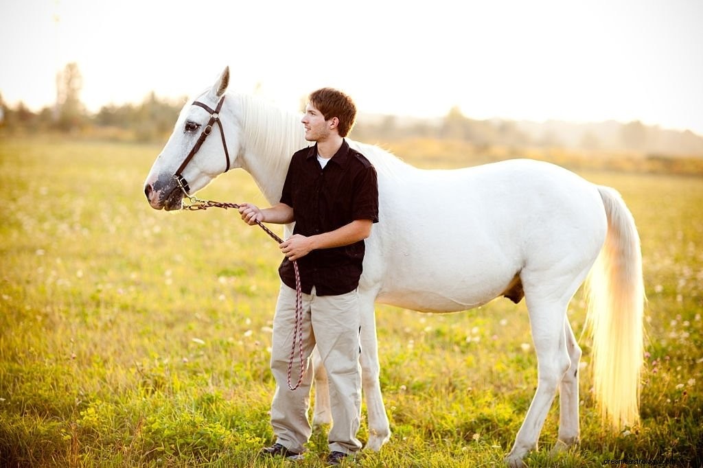 Weißes Pferd – Bedeutung und Symbolik von Träumen