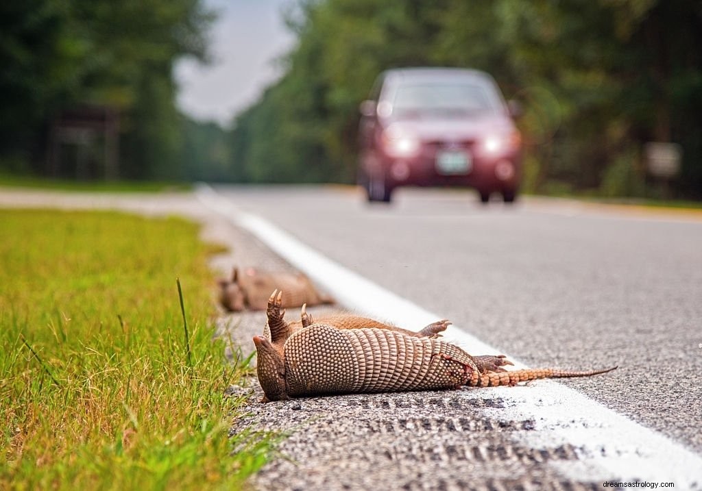 Run Over - Droombetekenis en symboliek